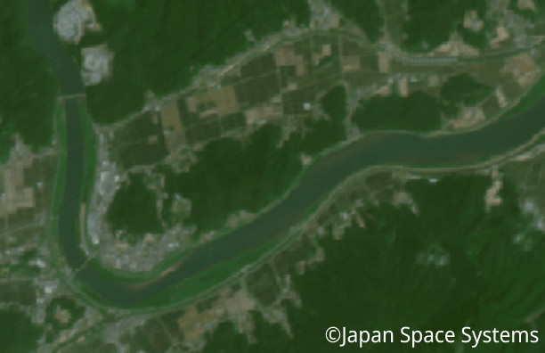 衛星画像